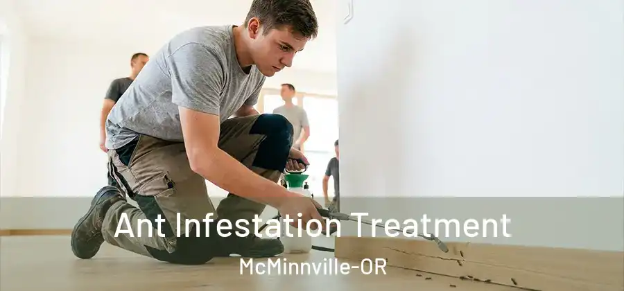 Ant Infestation Treatment McMinnville-OR