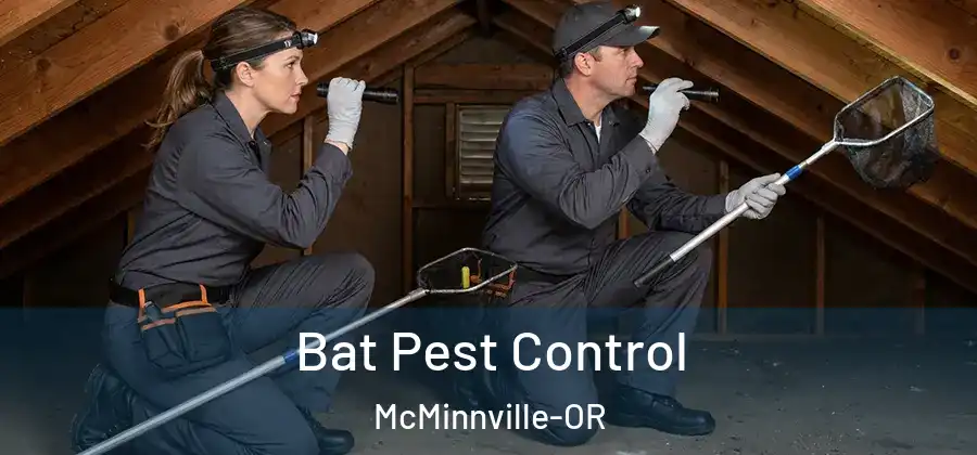 Bat Pest Control McMinnville-OR