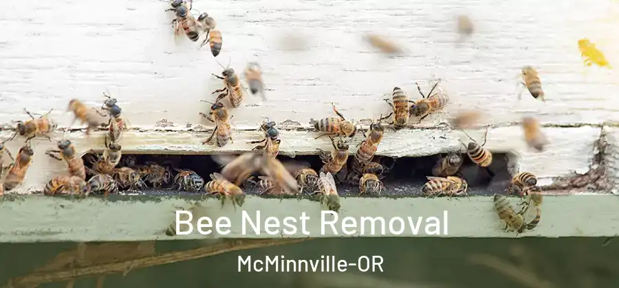 Bee Nest Removal McMinnville-OR