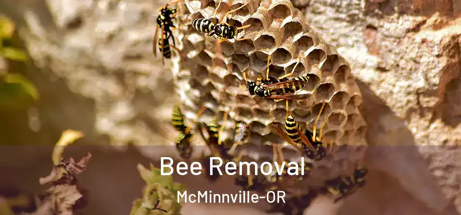 Bee Removal McMinnville-OR