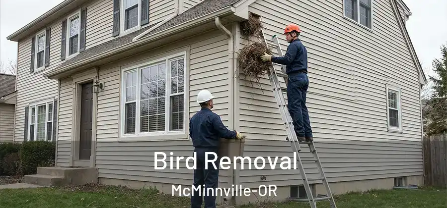 Bird Removal McMinnville-OR