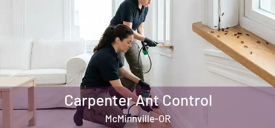 Carpenter Ant Control McMinnville-OR