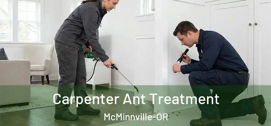 Carpenter Ant Treatment McMinnville-OR