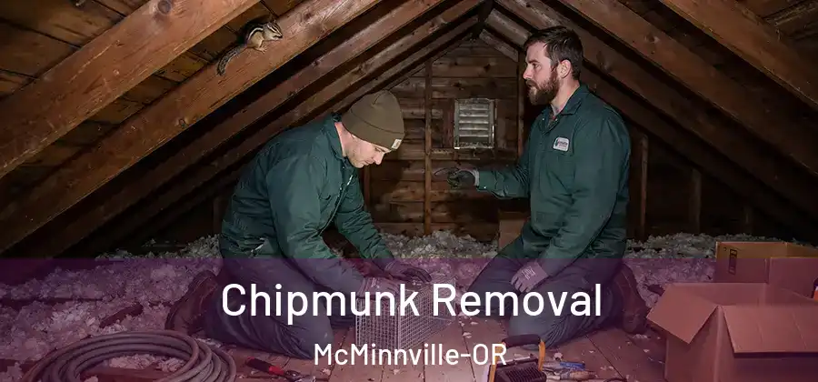 Chipmunk Removal McMinnville-OR