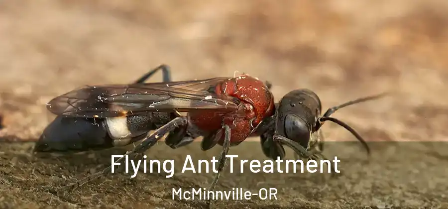Flying Ant Treatment McMinnville-OR