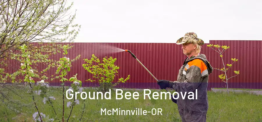  Ground Bee Removal McMinnville-OR