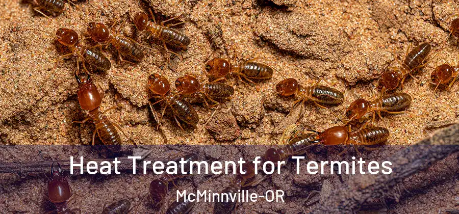 Heat Treatment for Termites McMinnville-OR