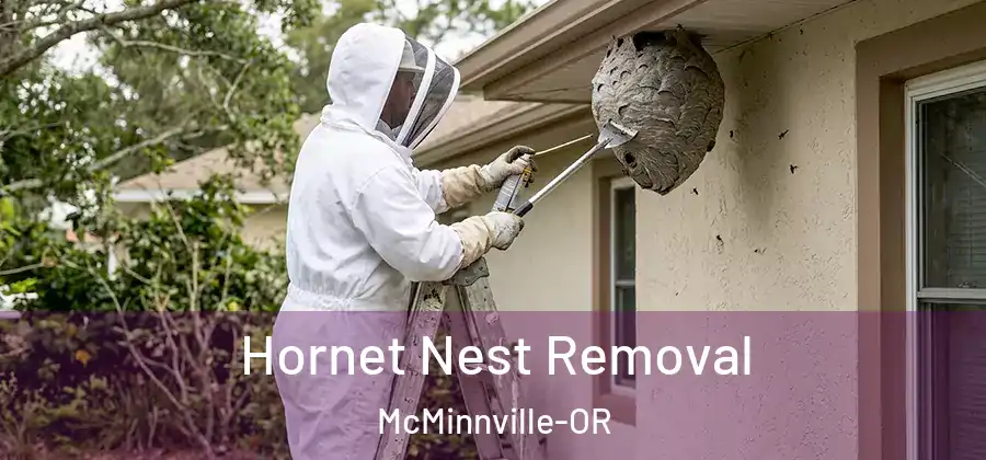 Hornet Nest Removal McMinnville-OR