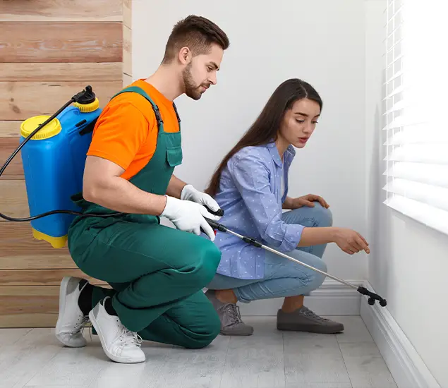 Trusted Affordable Bed Bug Treatment Experts in McMinnville, OR