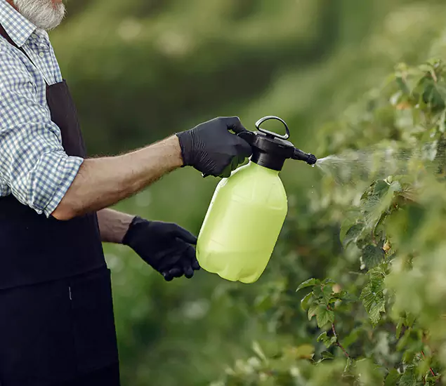 Your Proven Mosquito Treatment Company in McMinnville, OR