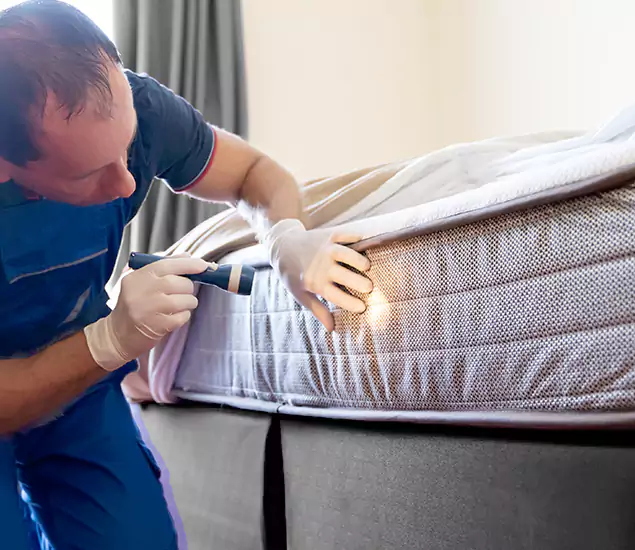 Trusted Bed Bug Cost Experts in McMinnville, OR
