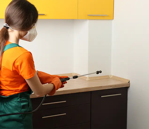 Trusted Bed Bug Pest Control Specialist in McMinnville, OR