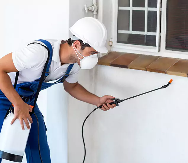 Your Professional Cockroach Exterminator in McMinnville, OR