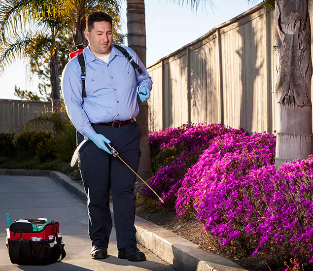 About Our Eco Safe Pest Control Experts in McMinnville, OR