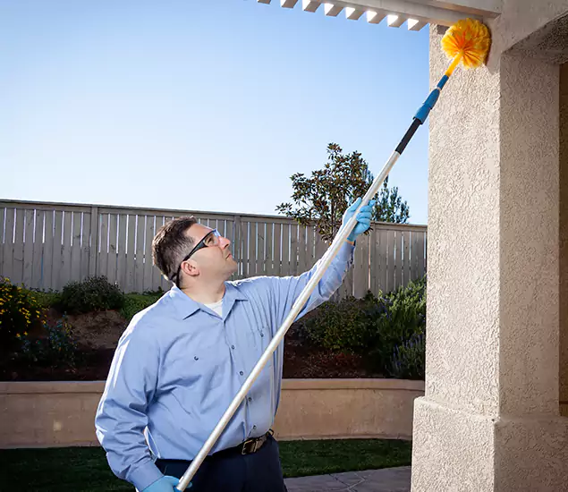 Trusted Experts in McMinnville OR for Formosan Termite Treatment and Black Termite Control