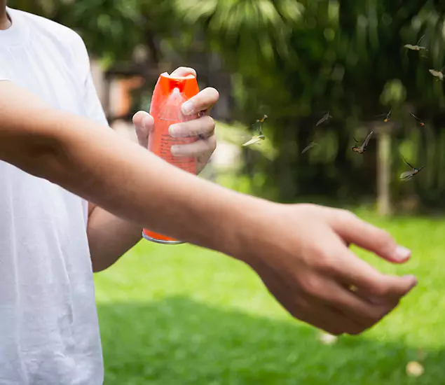 Your Best Indoor Bug Killer Team in McMinnville, OR