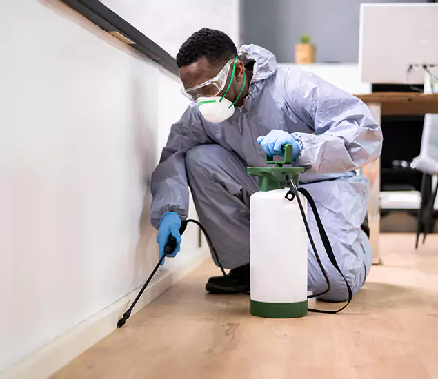 Leading Industrial Pest Control Experts Serving McMinnville, OR