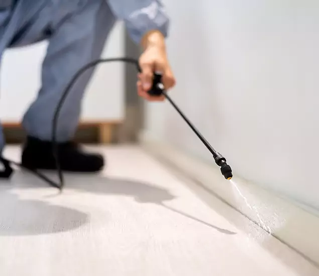 About Our Liquid Termite Treatment Experts in McMinnville, OR