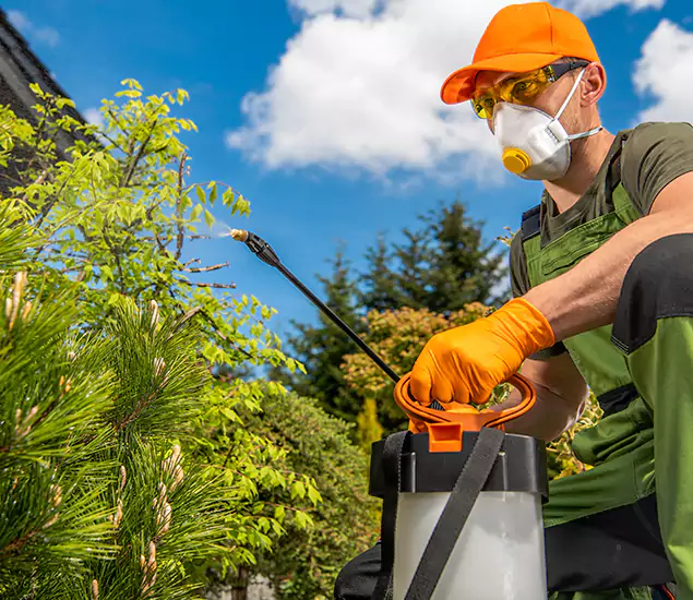 Reliable Mosquito Pest Control Services: Your Proven Mosquito Specialist in McMinnville, OR