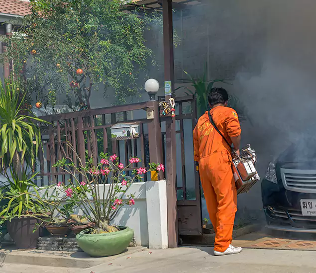 Your Proven Mosquito Fogging Company in McMinnville, OR