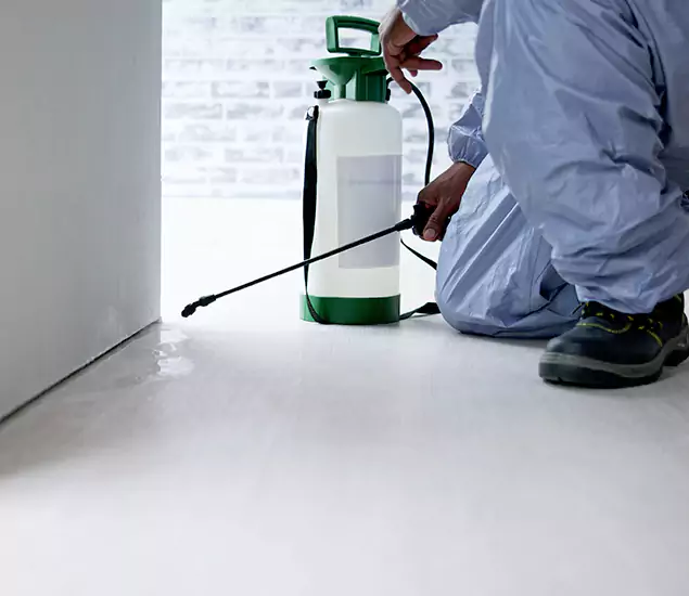 Affordable Pest Control Experts in McMinnville, OR