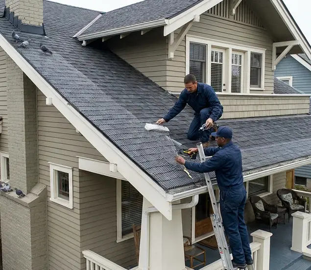 Your Pigeon Control Experts in McMinnville, OR