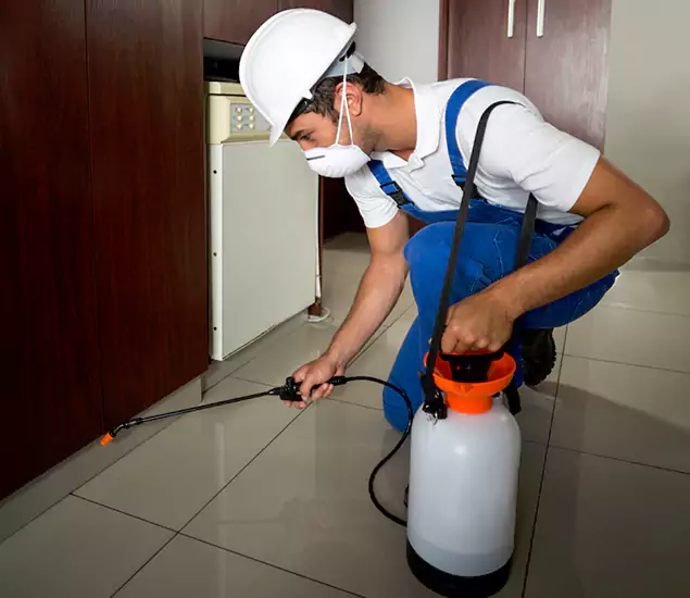 Advanced Termite Pre Treatment Experts in McMinnville, OR