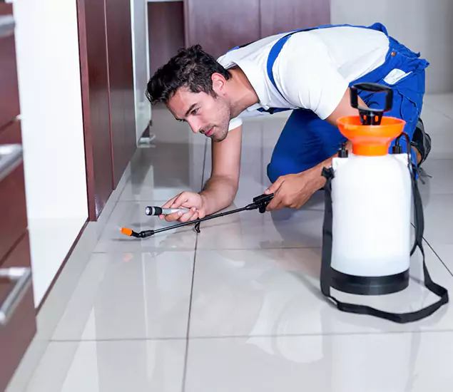 Trusted Rat Control Services Specialists in McMinnville, OR