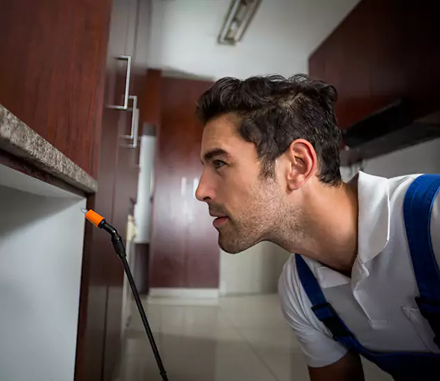 Expert Rodent in Attic Removal: Your Proven Pest Specialists in McMinnville, OR