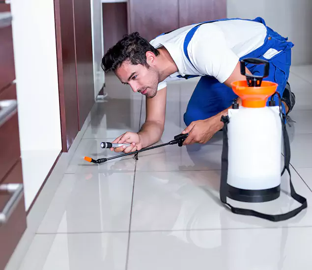 Advanced Slab Termite Treatment Experts You Can Trust&nbsp;in McMinnville, OR