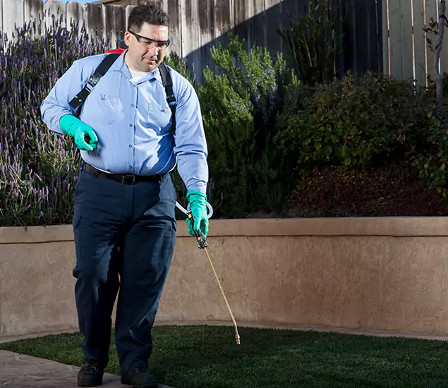 Reliable Termite Barrier Treatment Experts in McMinnville, OR