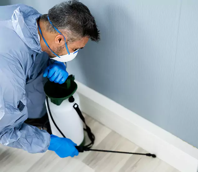 Reliable Termite Cost Experts in McMinnville, OR