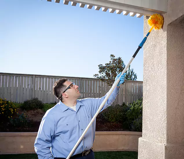 Your Trusted Wasp Removal Company in McMinnville, OR