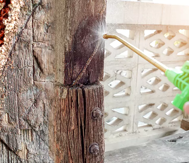 About Wood Termite Treatment Services in McMinnville, OR