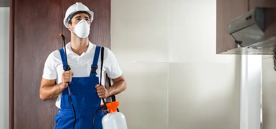 Per Room Bed Bug Cost in McMinnville