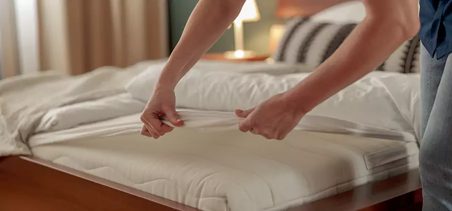 Bed Bug Extermination Services in McMinnville