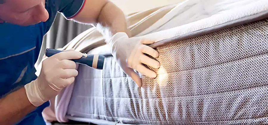 Residential Bed Bug Treatment Cost in McMinnville