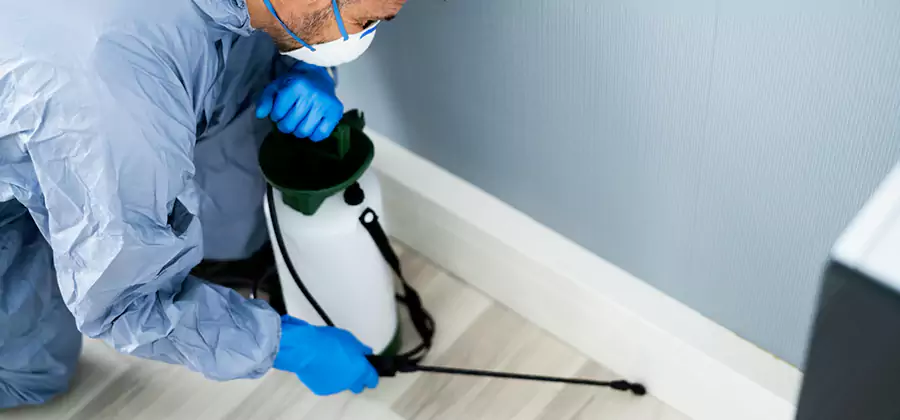 Fumigate Apartment Roaches in McMinnville