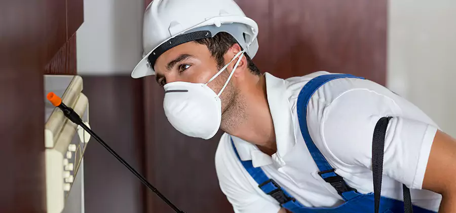 Injection Foam Treatment for Drywood Termites in McMinnville