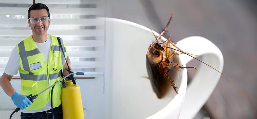 German Roach Infestation Treatment McMinnville