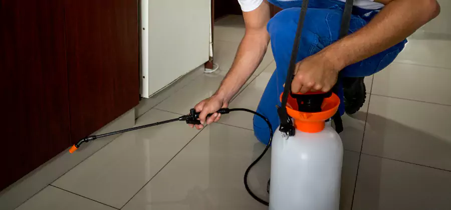 Indoor Mosquito Treatment in McMinnville