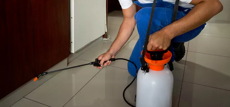 Indoor Insect Killer Solutions in McMinnville
