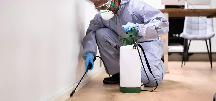 Long Lasting Mosquito Treatment in McMinnville