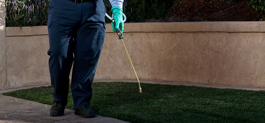 Soil Treatment for New Construction Termites in McMinnville
