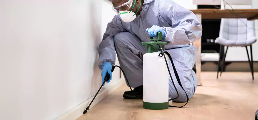 No Tent Termite Extermination With Electric Tool in McMinnville