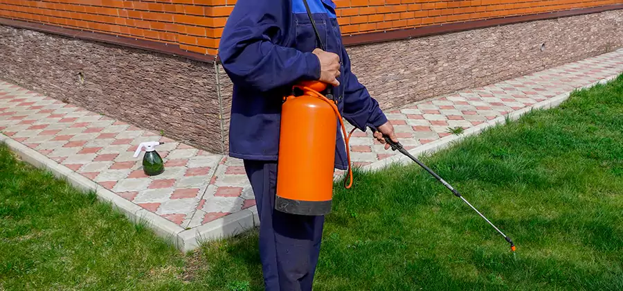 Non Toxic Termite Treatment in McMinnville