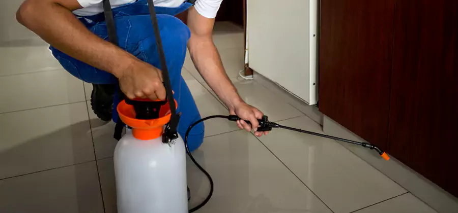 One Time Termite Control in McMinnville
