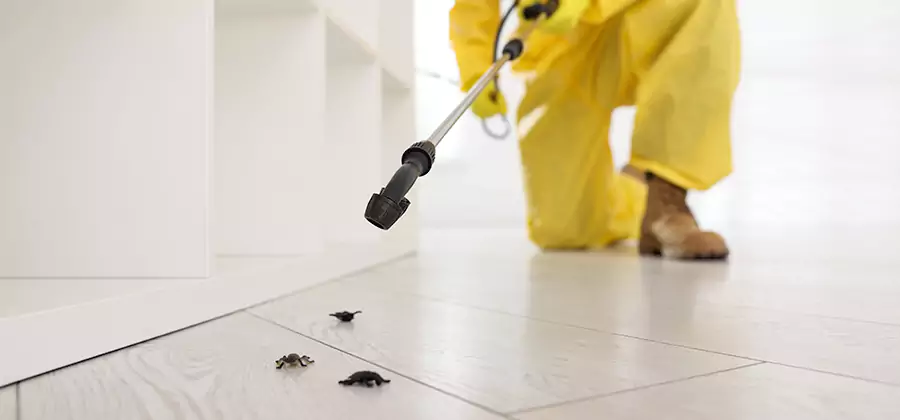 Roach and Bed Bug Exterminator in McMinnville