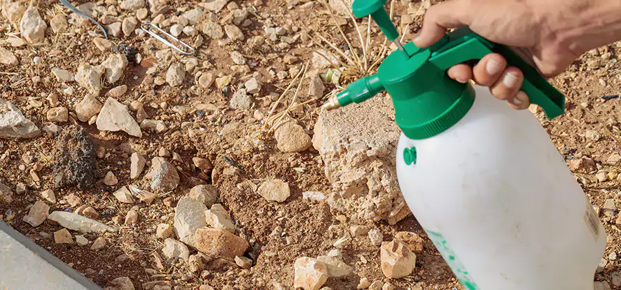 Heat Treatment Termite Cost in McMinnville