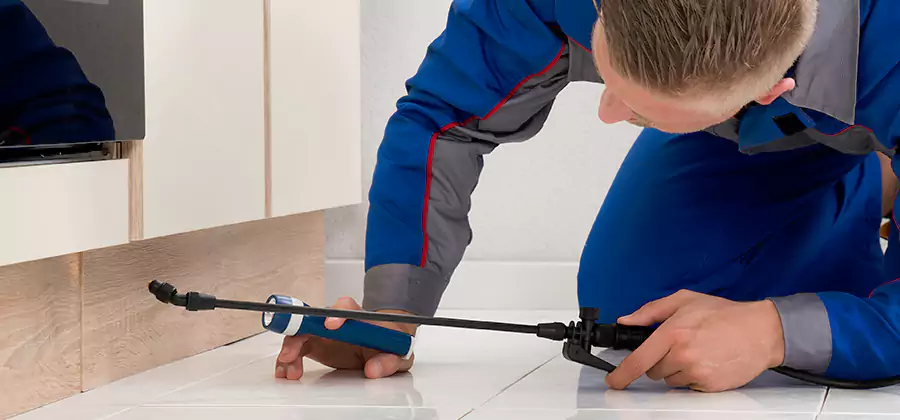 Moisture Treatment For Termite Control Service in McMinnville